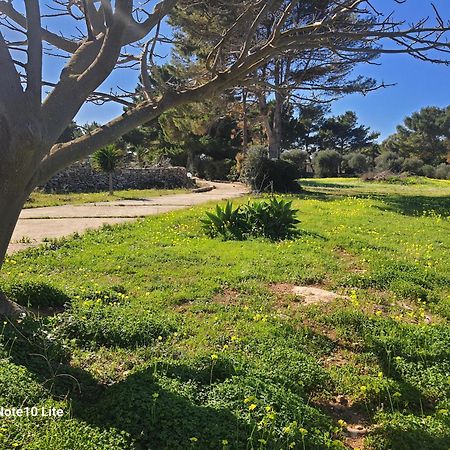 Sogni Nel Blu Favignana Villa Ngoại thất bức ảnh