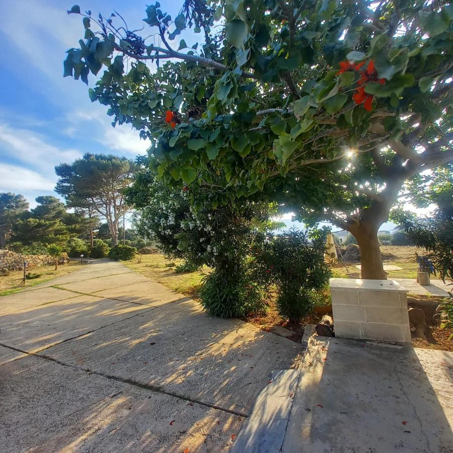 Sogni Nel Blu Favignana Villa Ngoại thất bức ảnh