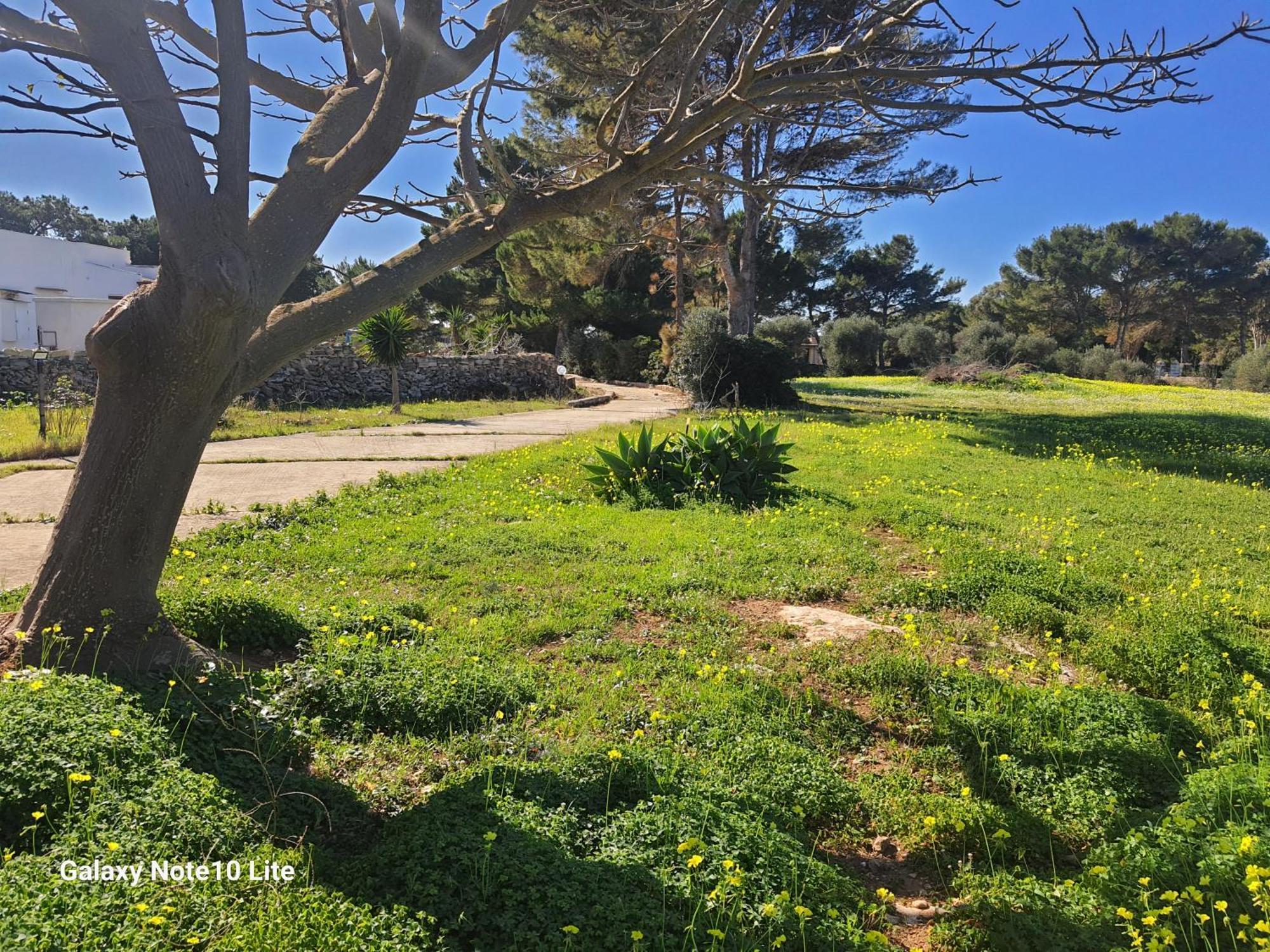 Sogni Nel Blu Favignana Villa Ngoại thất bức ảnh