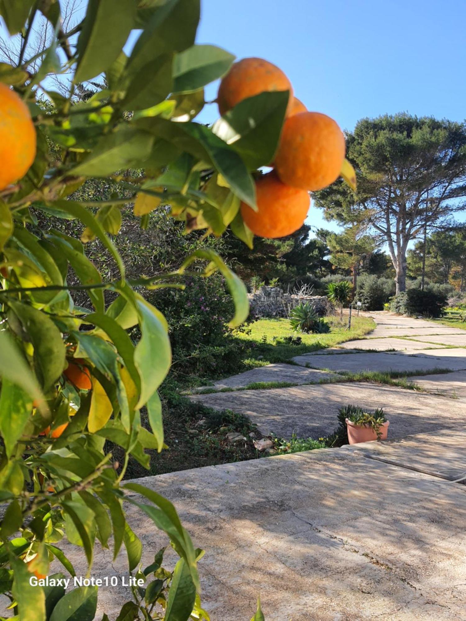 Sogni Nel Blu Favignana Villa Ngoại thất bức ảnh