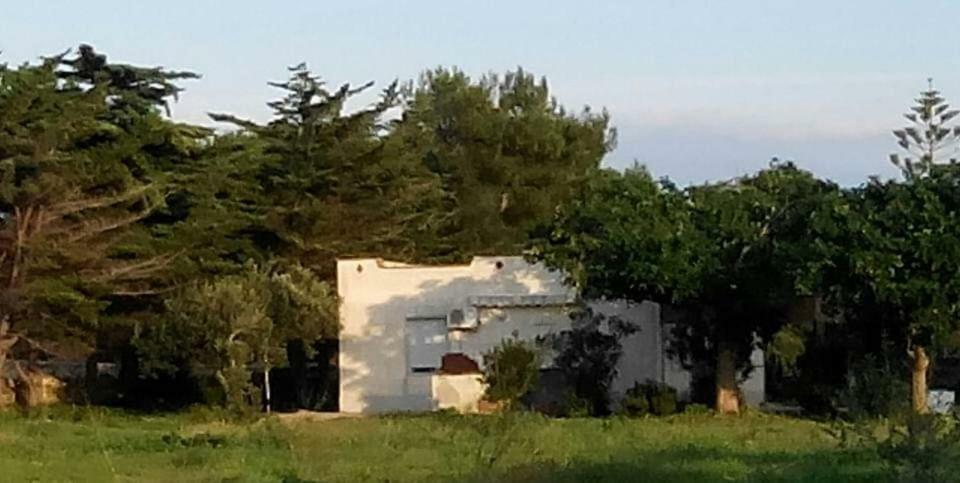 Sogni Nel Blu Favignana Villa Ngoại thất bức ảnh